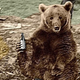 Illustration for article titled The Incredible Story of Wojtek, the Soldier Bear